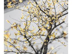 -广富林郊野公园