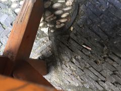 -中医院-的食堂