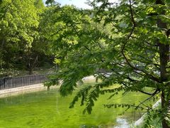 -白水寺森林公园
