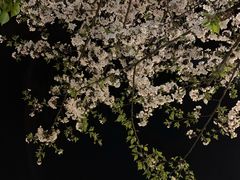 -杨高南路(地铁站)