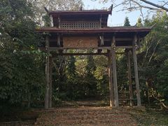-南宁花花大世界景区
