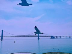 -星海广场
