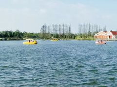 -上海长兴岛郊野公园