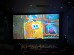 -龙之星国际影城(太平店)