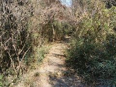 -九龙潭景区
