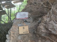 -周口店北京人遗址公园