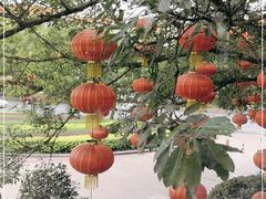 -盆满钵满·国家非遗传承(云台店)