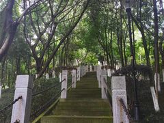 -龙头寺公园