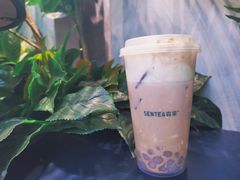 -SENTEA森茶(麦地丽日店)
