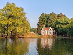 -上海共青森林公园