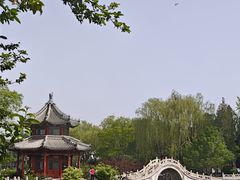 -莲池书院博物馆