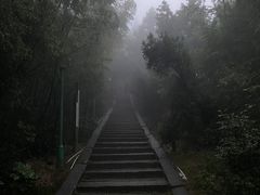-长沙黑麋峰国家森林公园
