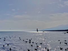 -青海湖国家重点风景名胜区