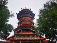 -厦门园林博览苑
