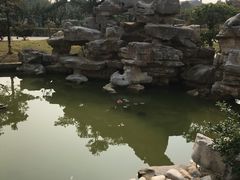 -呼吸森林·生态农庄农家乐私房菜