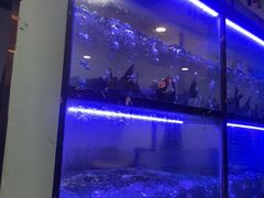 -云中鱼蒸汽石锅鱼(川沙百联店)