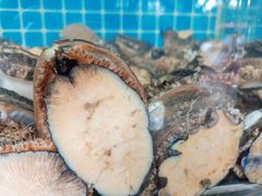 -范饭椰林川湘味海鲜·椰子鸡(三亚湾椰梦长廊店)