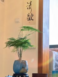 -齐伽生活馆·瑜伽·普拉提·阿育吠陀