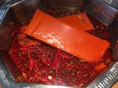 -蜀九香火锅(九眼桥店)