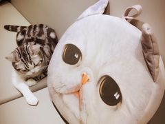 -小时光咖啡馆(开森度假森林店)