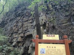 -老象峰