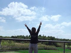-贡湖湾湿地公园