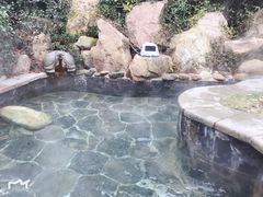 -徂徕山森林康养度假谷温泉