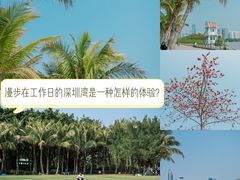 -深圳湾公园(南山区)