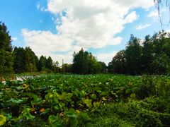 -白塘生态植物园