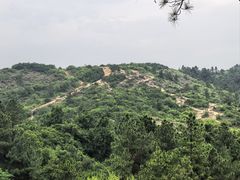 -灵岩山风景区