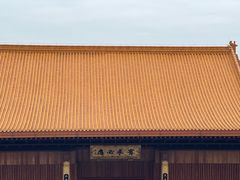 -深圳仙湖植物园