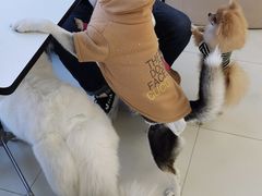 -怪兽屋·羊驼·猫咖·狗咖(俊华广场店)