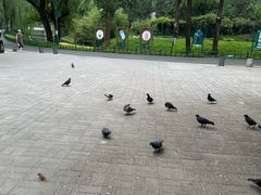 -皇家御河游(紫御湾码头)