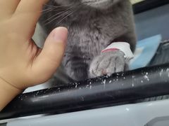 -瑞鹏瑞爱宠物医院·全科·猫科·血液透析中心(龙头寺店)