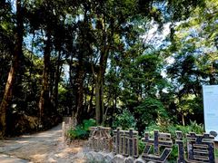 -广州市帽峰山景区
