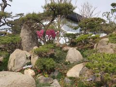 -罗红摄影艺术馆