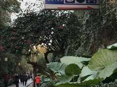 -铁路文化公园