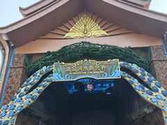 -西双版纳原始森林公园