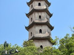 -江心屿景区