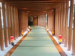 -重庆南山海昌汤都
