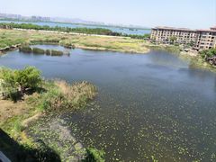 -南湖国家城市湿地公园