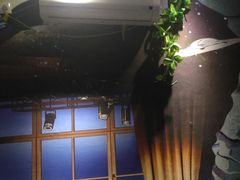 -猴满足影院足道SPA(金钟路店)