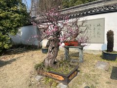 -杭州植物园