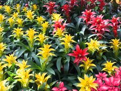 -北京植物园-展览温室