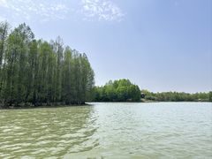 -上海海湾国家森林公园