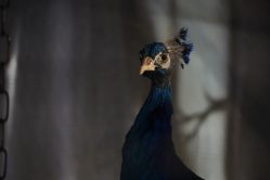 -酷嗒动物文化乐园(cutezoo西溪乐天城店)