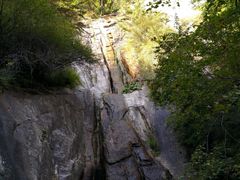 -王顺山国家森林公园