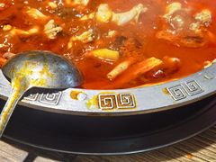 -销魂美蛙鱼头火锅(上海首店)