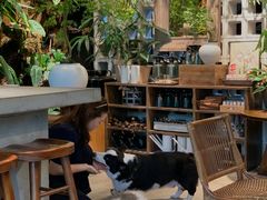 -自由生长植物工作室(深港花卉中心店)