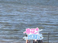 -武清南湖绿博园